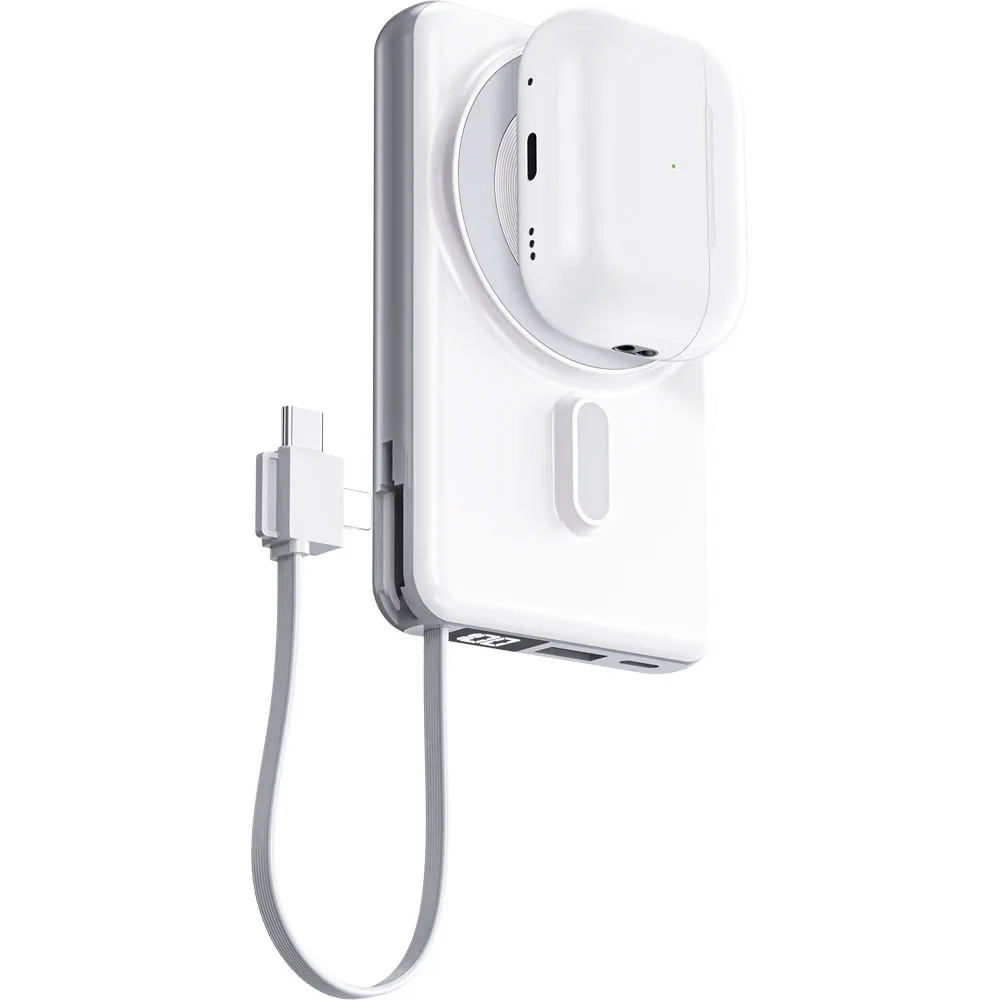 4 in 1 PowerBank