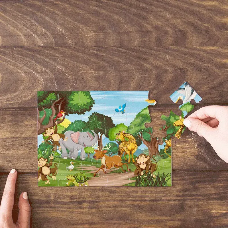 Lenticular Puzzle