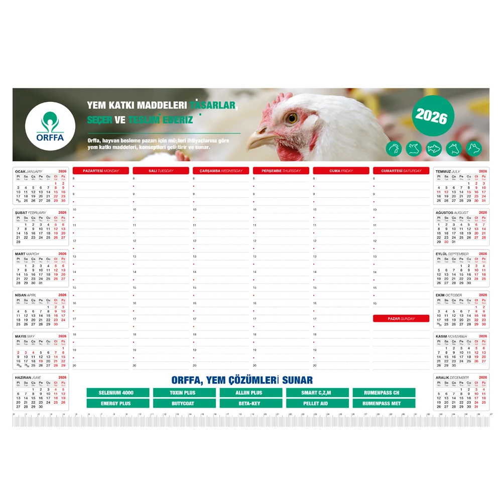 MS-20-48x34 Tarihsiz Masa Sümeni